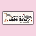 I Brake 4 Sandhill Cranes Bumper Sticker