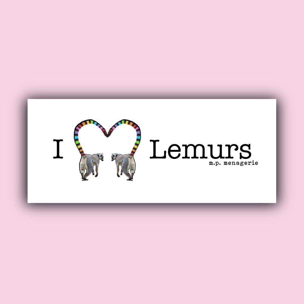 I Love Lemurs Pride Bumper Sticker