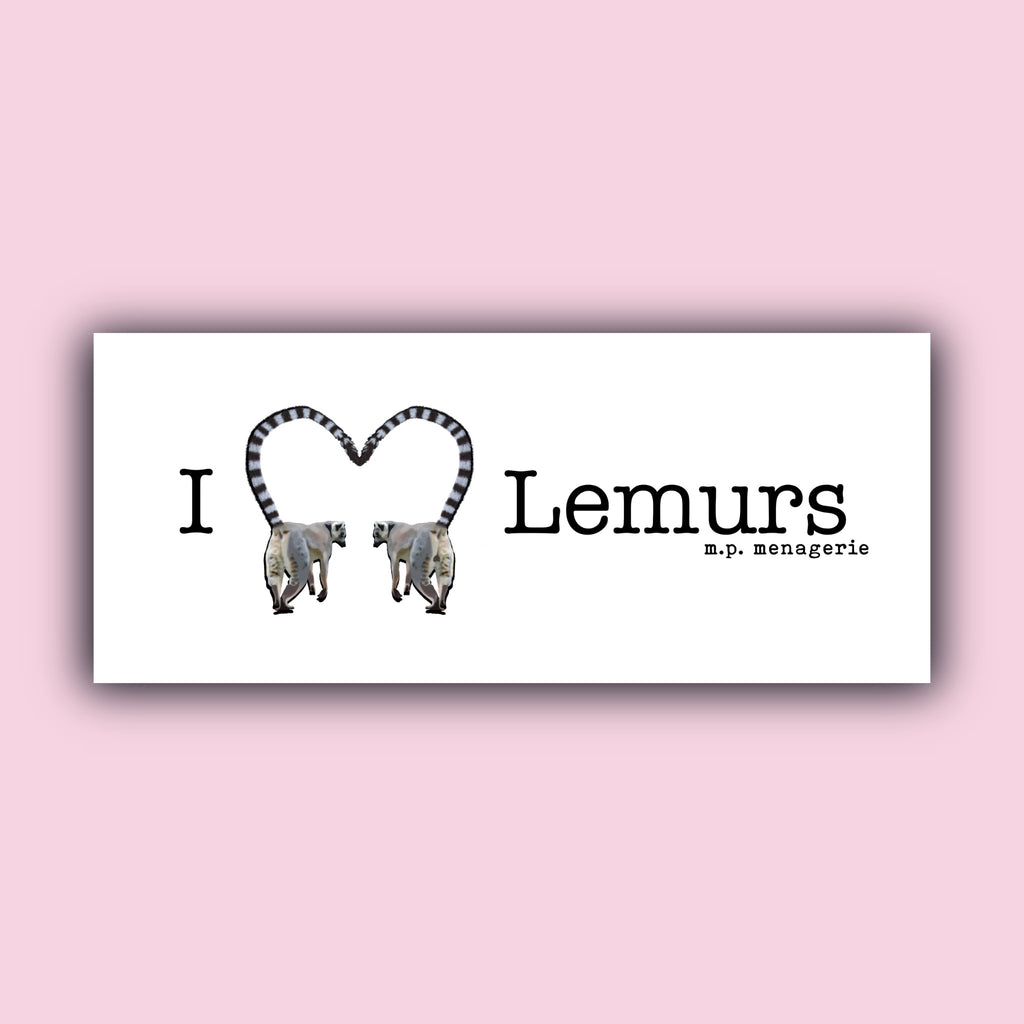 I Love Lemurs Bumper Sticker